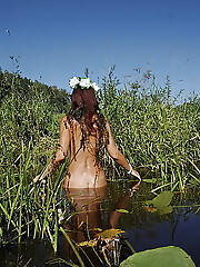 In Pond with Waterflowers 2