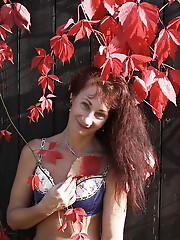 In red leaves